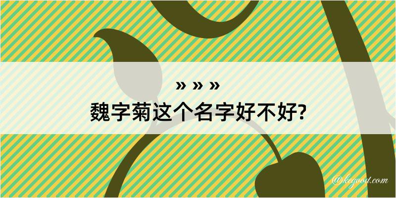 魏字菊这个名字好不好?