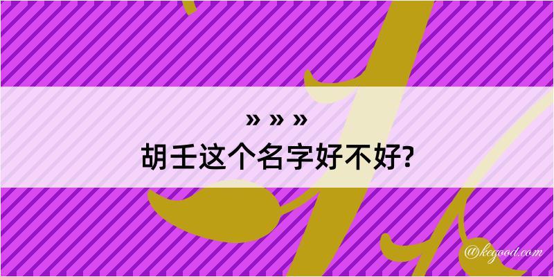 胡壬这个名字好不好?