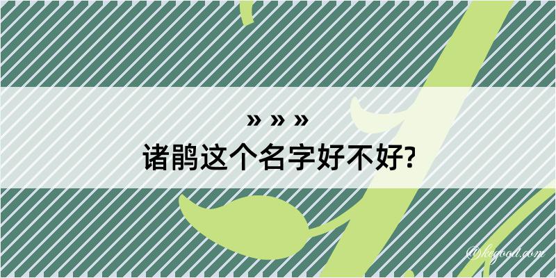 诸鹃这个名字好不好?