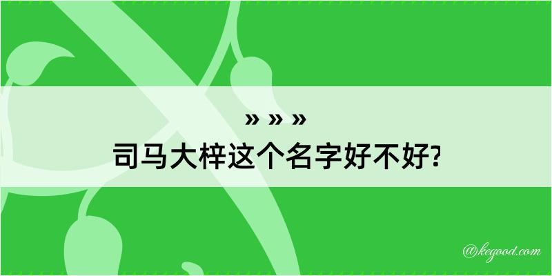 司马大梓这个名字好不好?