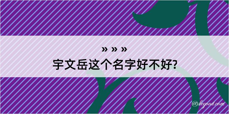 宇文岳这个名字好不好?