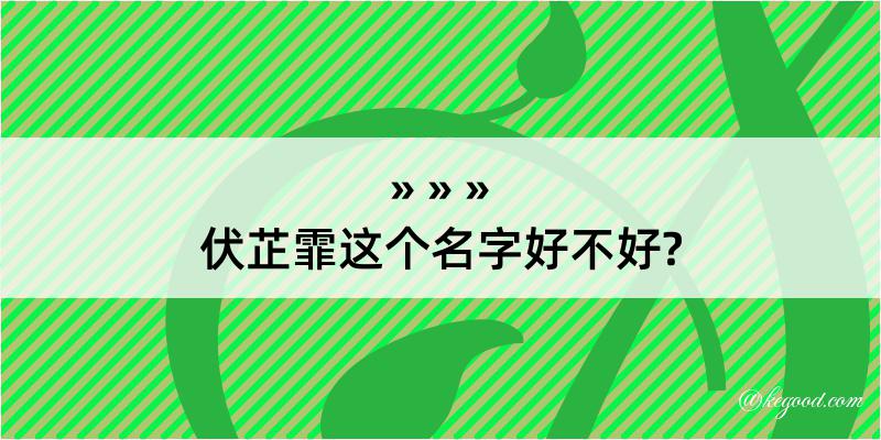 伏芷霏这个名字好不好?