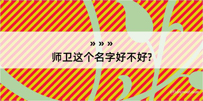 师卫这个名字好不好?