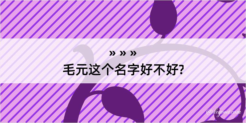 毛元这个名字好不好?