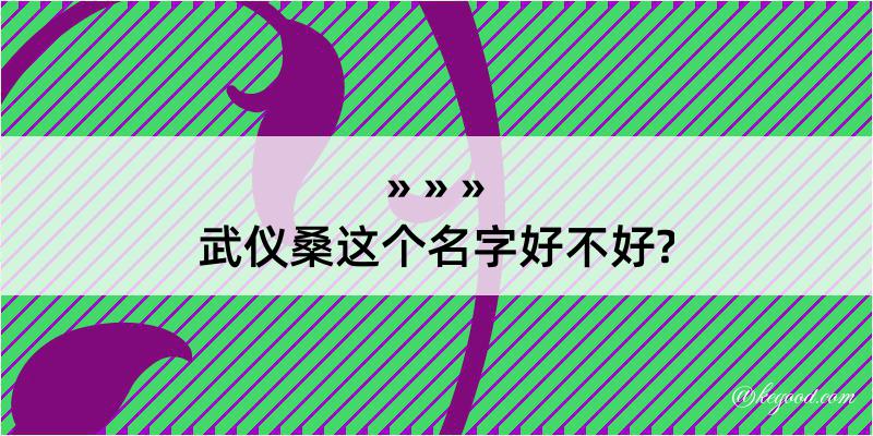 武仪桑这个名字好不好?