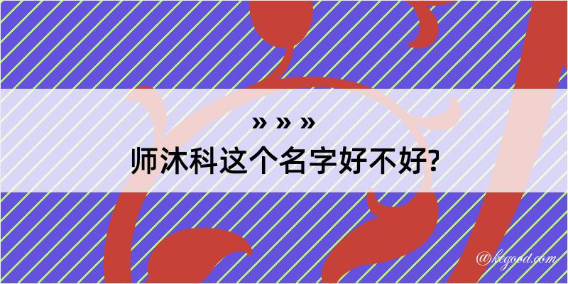 师沐科这个名字好不好?