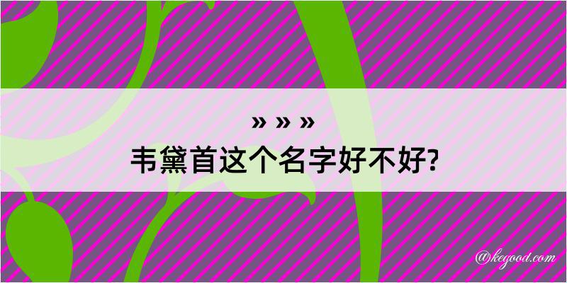 韦黛首这个名字好不好?