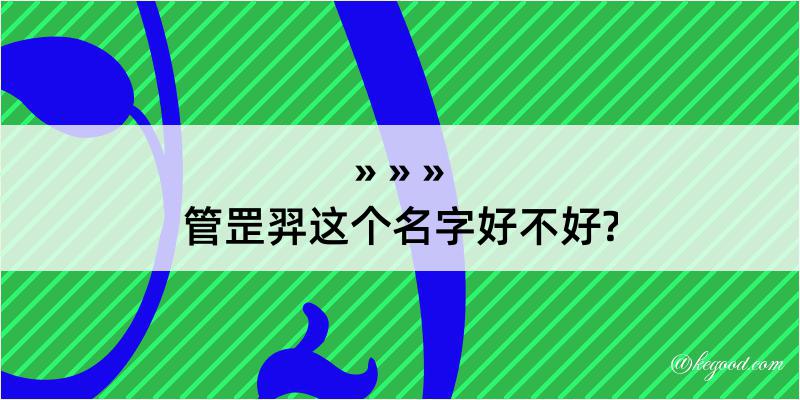 管罡羿这个名字好不好?