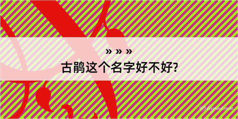 古鹃这个名字好不好?