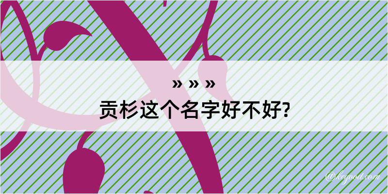 贡杉这个名字好不好?