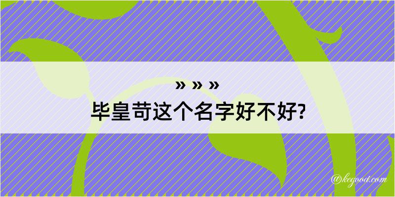 毕皇苛这个名字好不好?