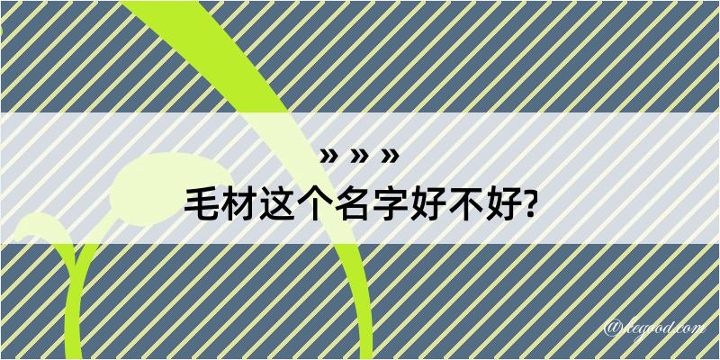 毛材这个名字好不好?