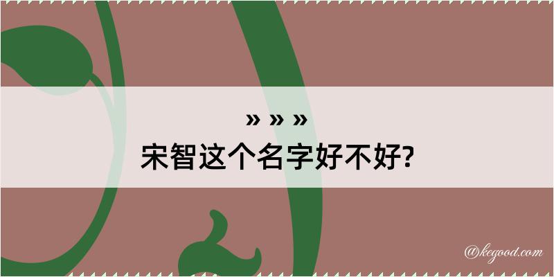 宋智这个名字好不好?