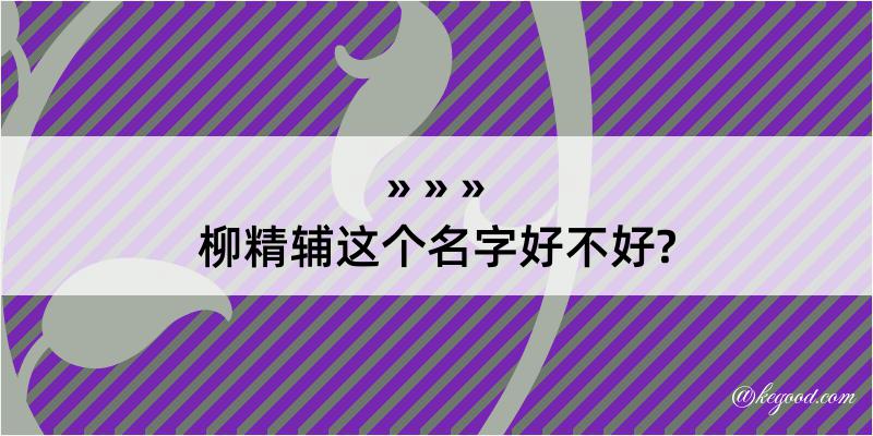 柳精辅这个名字好不好?