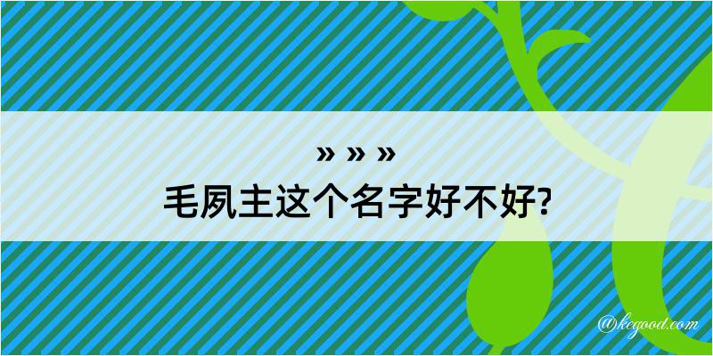 毛夙主这个名字好不好?