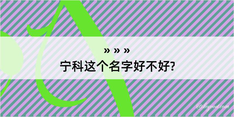 宁科这个名字好不好?