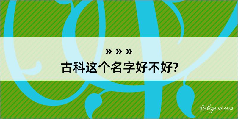 古科这个名字好不好?