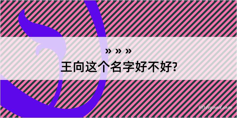 王向这个名字好不好?