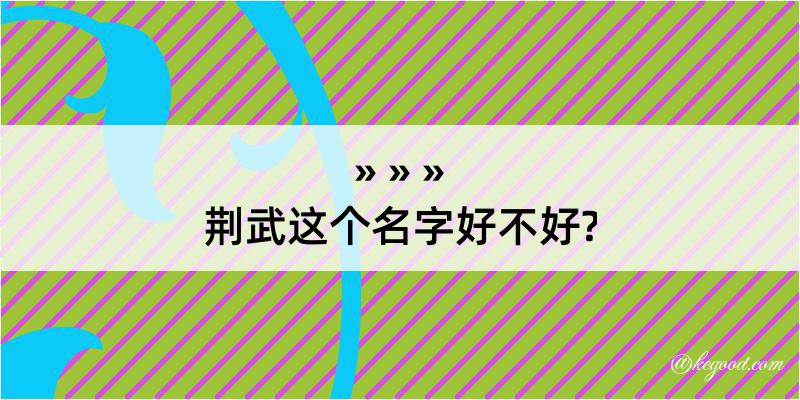 荆武这个名字好不好?