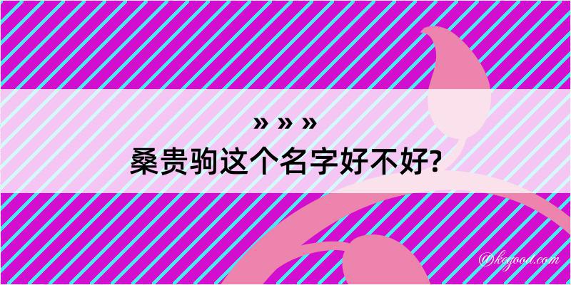 桑贵驹这个名字好不好?