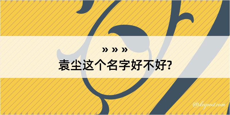 袁尘这个名字好不好?