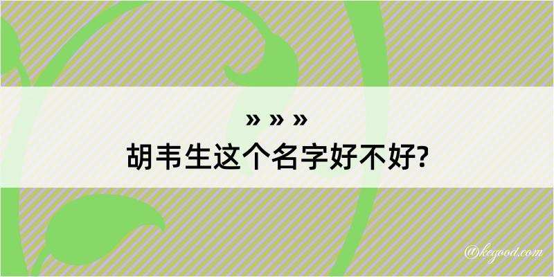 胡韦生这个名字好不好?