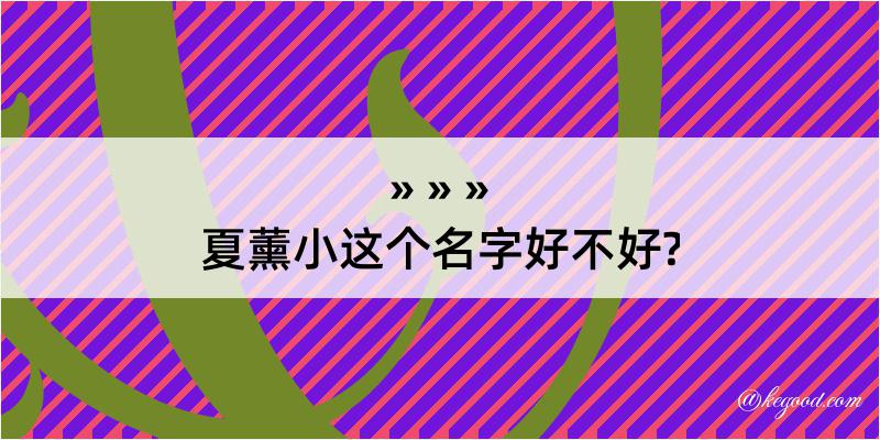 夏薰小这个名字好不好?