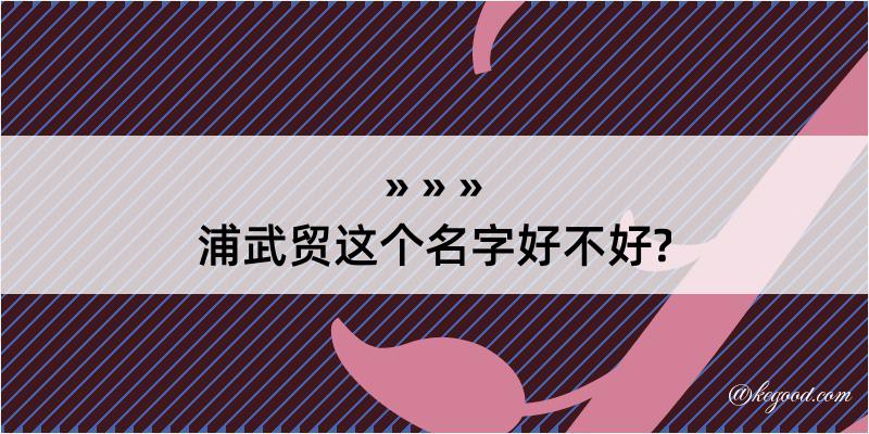 浦武贸这个名字好不好?