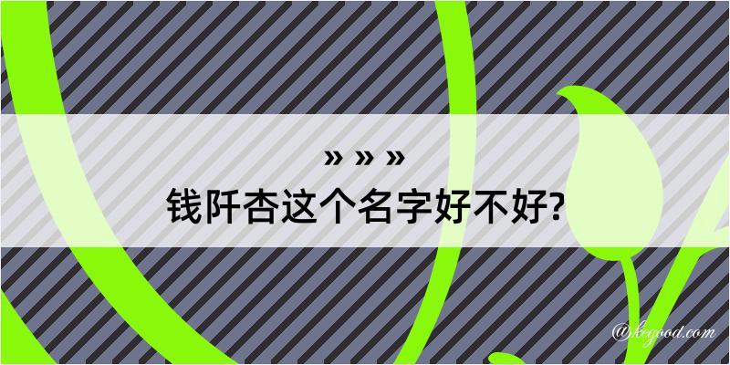 钱阡杏这个名字好不好?