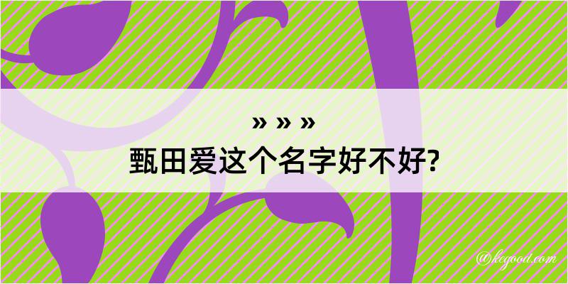 甄田爱这个名字好不好?