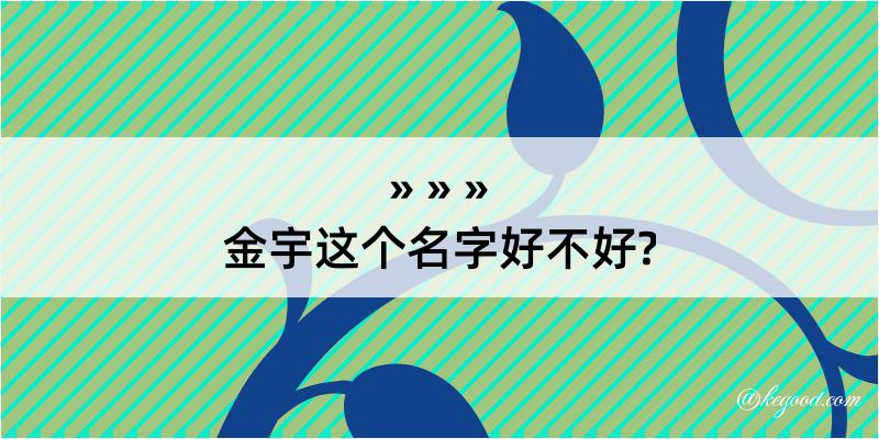 金宇这个名字好不好?