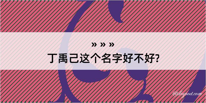 丁禹己这个名字好不好?