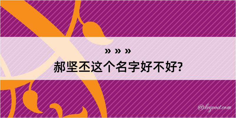 郝坚丕这个名字好不好?