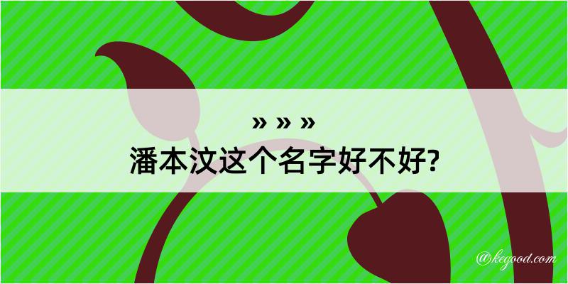 潘本汶这个名字好不好?