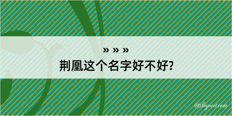 荆凰这个名字好不好?