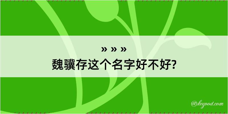 魏骥存这个名字好不好?