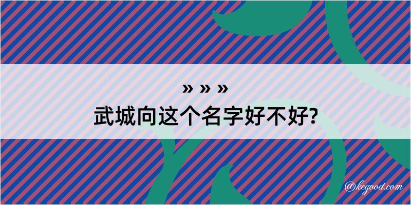 武城向这个名字好不好?