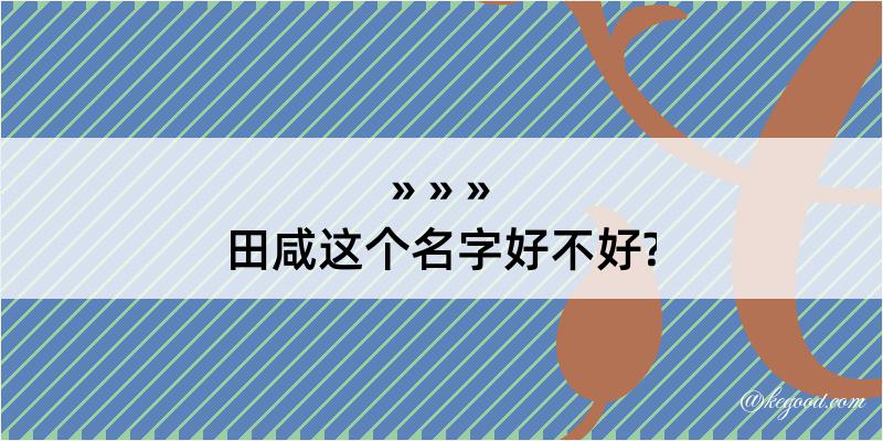 田咸这个名字好不好?