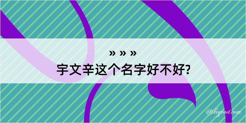 宇文辛这个名字好不好?