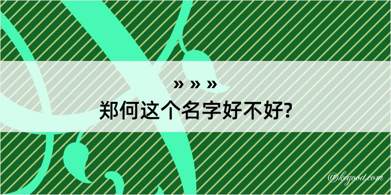 郑何这个名字好不好?