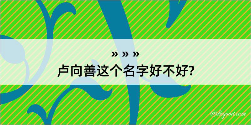 卢向善这个名字好不好?