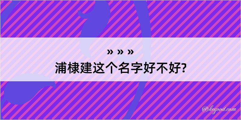 浦棣建这个名字好不好?