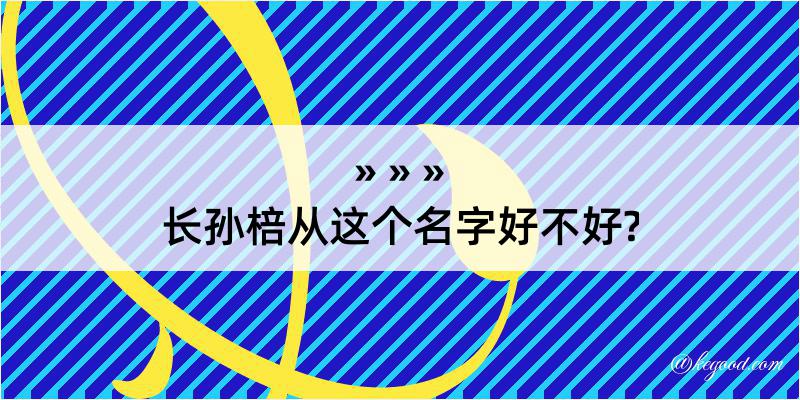 长孙棓从这个名字好不好?