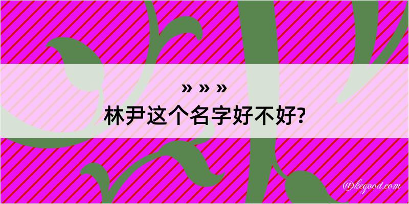 林尹这个名字好不好?