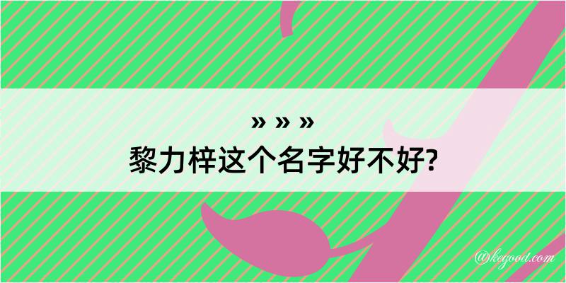 黎力梓这个名字好不好?