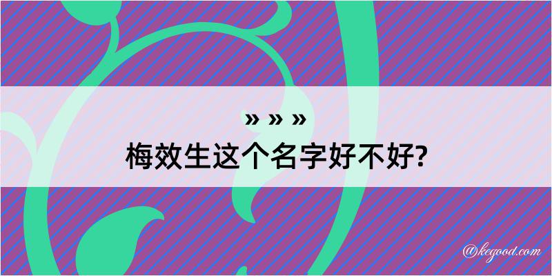 梅效生这个名字好不好?