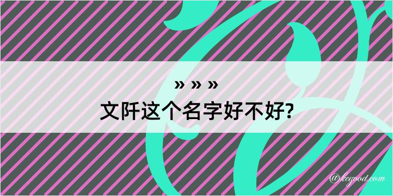 文阡这个名字好不好?