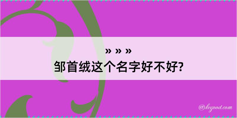 邹首绒这个名字好不好?