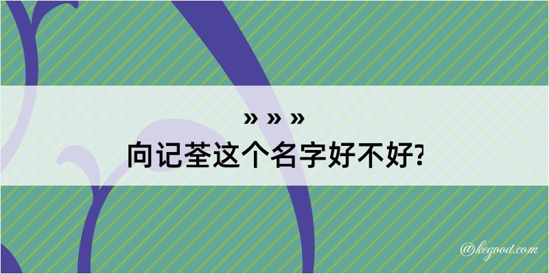 向记荃这个名字好不好?