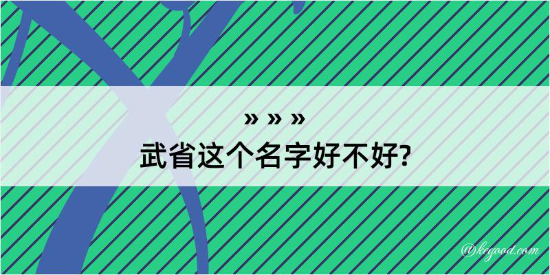 武省这个名字好不好?